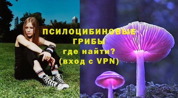 бутират Баксан
