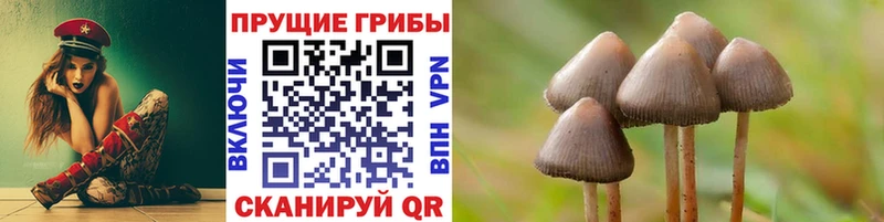 kraken сайт  Свободный  Псилоцибиновые грибы MAGIC MUSHROOMS  наркотики 